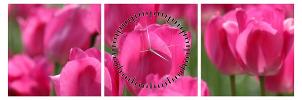 Obraz - Růžové tulipány (s hodinami) (90x30 cm)
