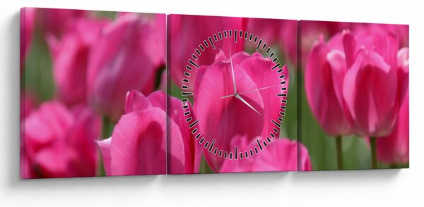 Obraz - Růžové tulipány (s hodinami) (90x30 cm)