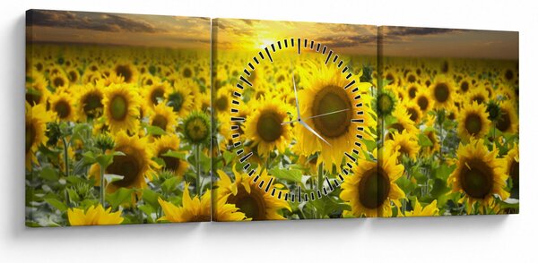 Obraz - Slunečnice při západu slunce (s hodinami) (90x30 cm)