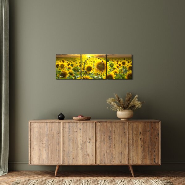 Obraz - Slunečnice při západu slunce (s hodinami) (90x30 cm)