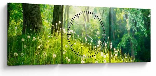 Obraz - Magická louka plná pampelišek (s hodinami) (90x30 cm)