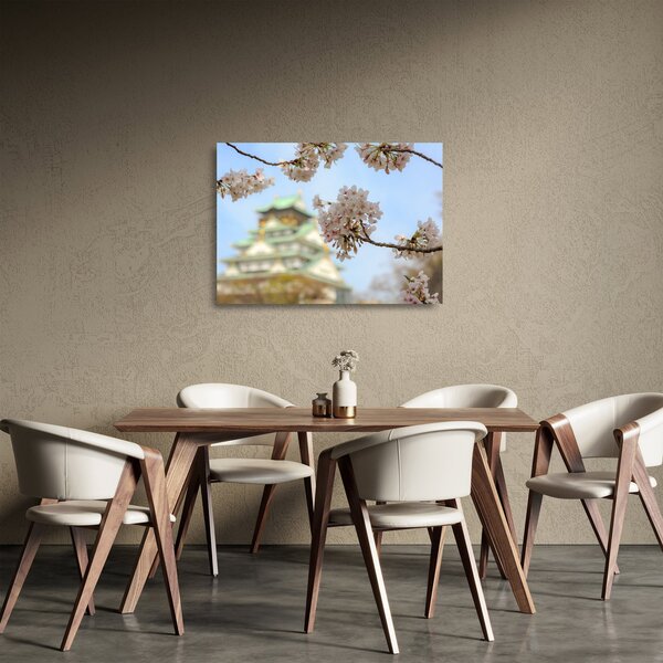 Skleněný obraz - Sakura (70x50 cm)