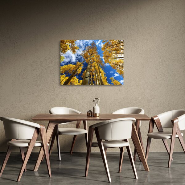 Skleněný obraz - Aspen (70x50 cm)