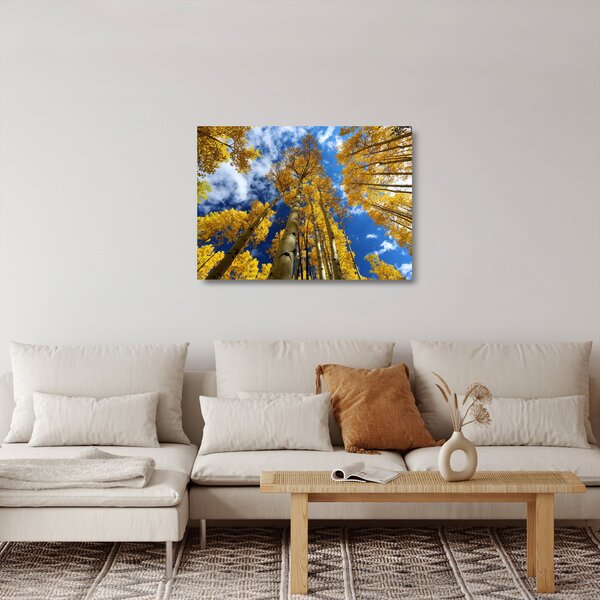 Skleněný obraz - Aspen (70x50 cm)