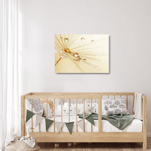 Skleněný obraz - Makro fotografie pampelišky (70x50 cm)
