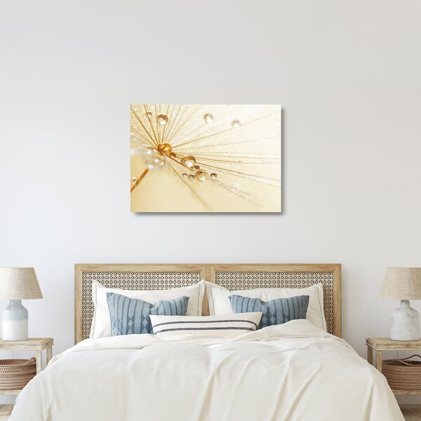 Skleněný obraz - Makro fotografie pampelišky (70x50 cm)