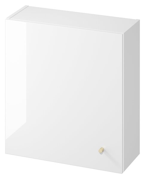 Cersanit Larga skříňka 56x22.2x60 cm boční závěsná bílá S164-048
