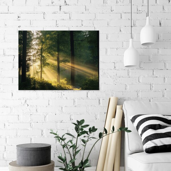 OBRAZ NA PLÁTNĚ OBRAZ NA ZEĎ LES PŘÍRODA STROMY DO LOŽNICE OBÝVÁKU KUCHYNĚ 120x80