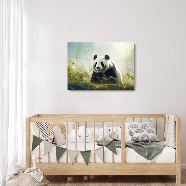 Skleněný obraz - Panda (70x50 cm)