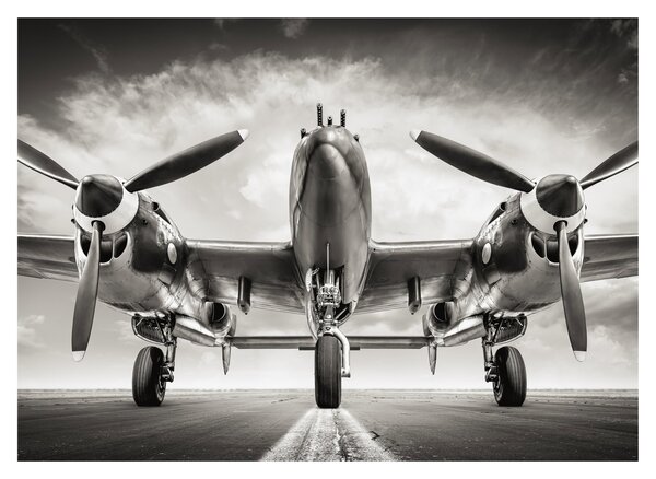 Skleněný obraz - Warbird (70x50 cm)