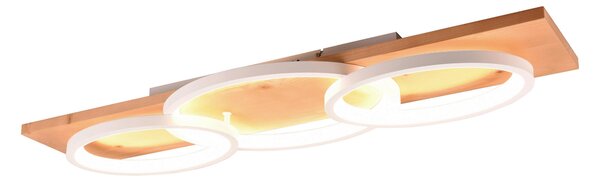 STROPNÍ LED SVÍTIDLO, 97/33/10 cm Trio Leuchten - Stropní svítidla