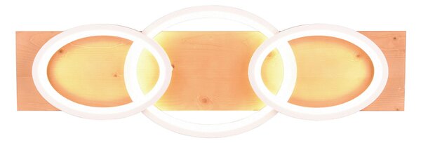 STROPNÍ LED SVÍTIDLO, 97/33/10 cm Trio Leuchten - Stropní svítidla