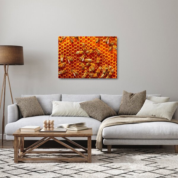 Skleněný obraz - Medová plástev (70x50 cm)