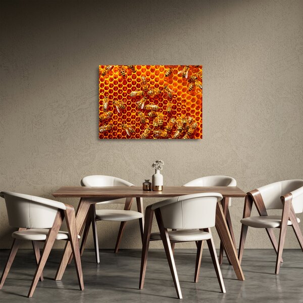 Skleněný obraz - Medová plástev (70x50 cm)