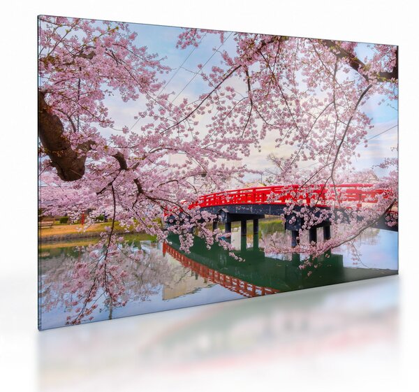 Skleněný obraz - Hirosaki, Japonsko (70x50 cm)