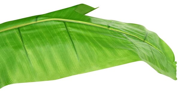 Umělý banánovník s květináčem 300 cm zelený 336315