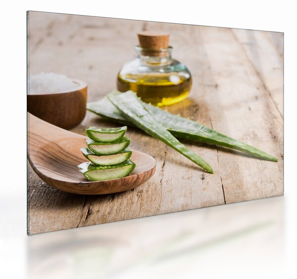 Skleněný obraz - Aloe vera (70x50 cm)