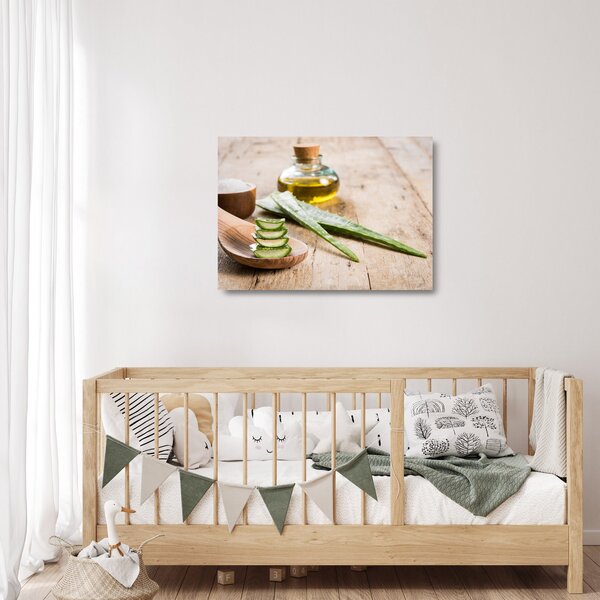 Skleněný obraz - Aloe vera (70x50 cm)