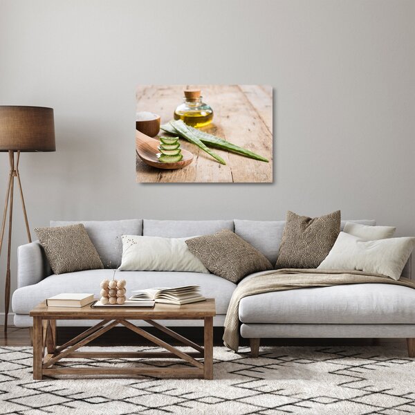Skleněný obraz - Aloe vera (70x50 cm)