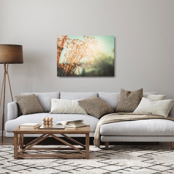 Skleněný obraz - Rostliny po dešti (70x50 cm)