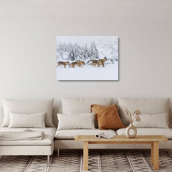 Skleněný obraz - Vlci v horách (70x50 cm)