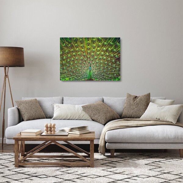Skleněný obraz - Páv (70x50 cm)