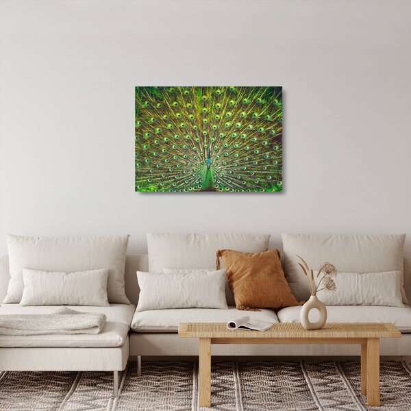 Skleněný obraz - Páv (70x50 cm)