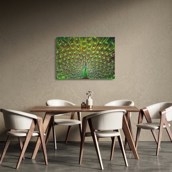 Skleněný obraz - Páv (70x50 cm)