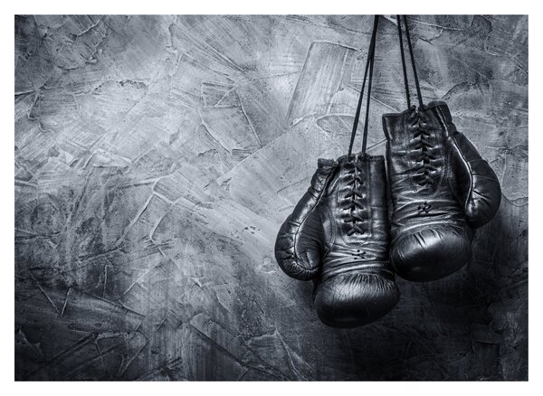 Skleněný obraz - Boxerské rukavice (70x50 cm)