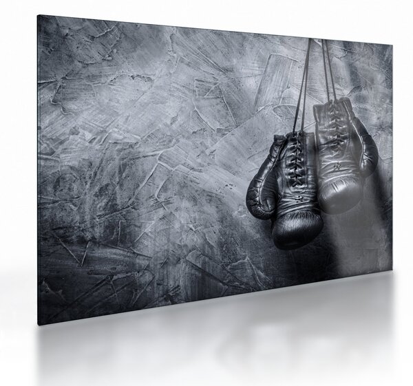 Skleněný obraz - Boxerské rukavice (70x50 cm)