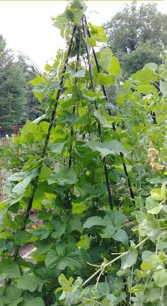 Zahradní pergola ve tvaru obelisku, opora pro popínavé rostliny, dekorativní vrchol, 180 cm