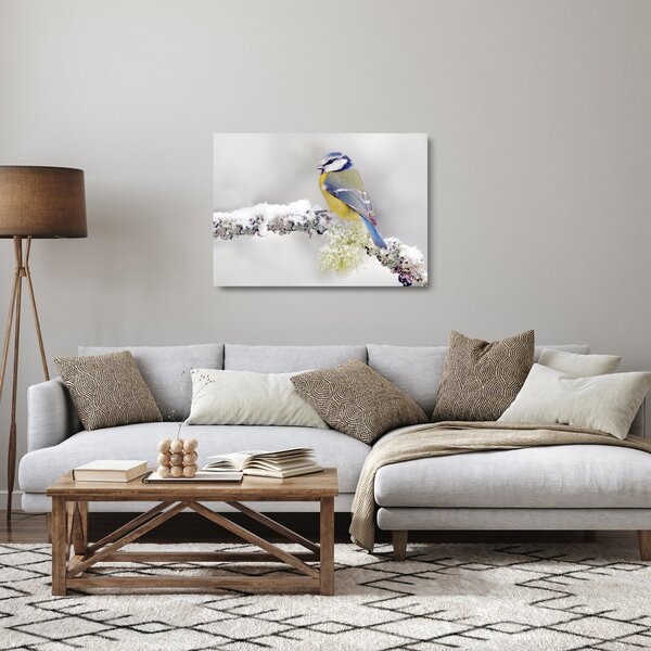 Skleněný obraz - Sýkora modřinka v lese (70x50 cm)