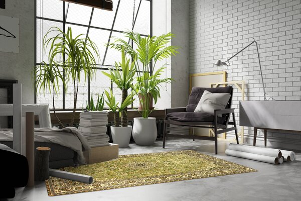 Sintelon, Kusový koberec SOLID 55 APA, 200x300, zelená, chodba / předsíň