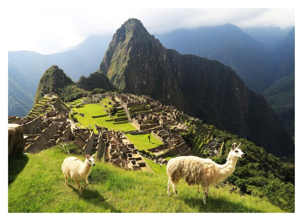 Skleněný obraz - Machu Picchu (70x50 cm)