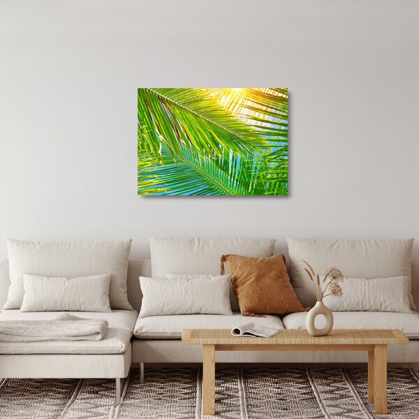 Skleněný obraz - Palmové listy (70x50 cm)
