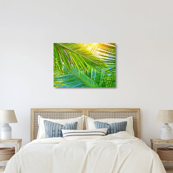 Skleněný obraz - Palmové listy (70x50 cm)