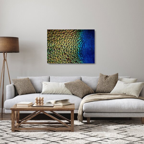 Skleněný obraz - Páví peří (70x50 cm)