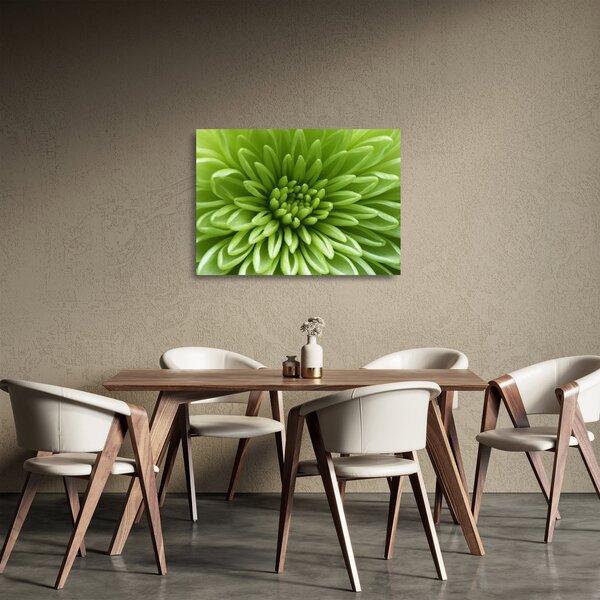 Skleněný obraz - Makro snímek rostliny (70x50 cm)