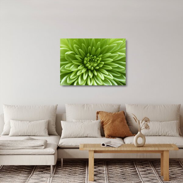 Skleněný obraz - Makro snímek rostliny (70x50 cm)