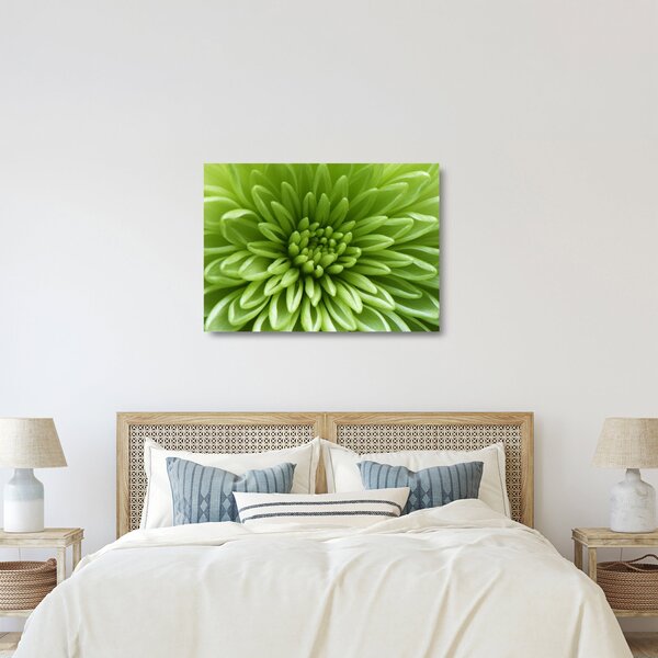 Skleněný obraz - Makro snímek rostliny (70x50 cm)