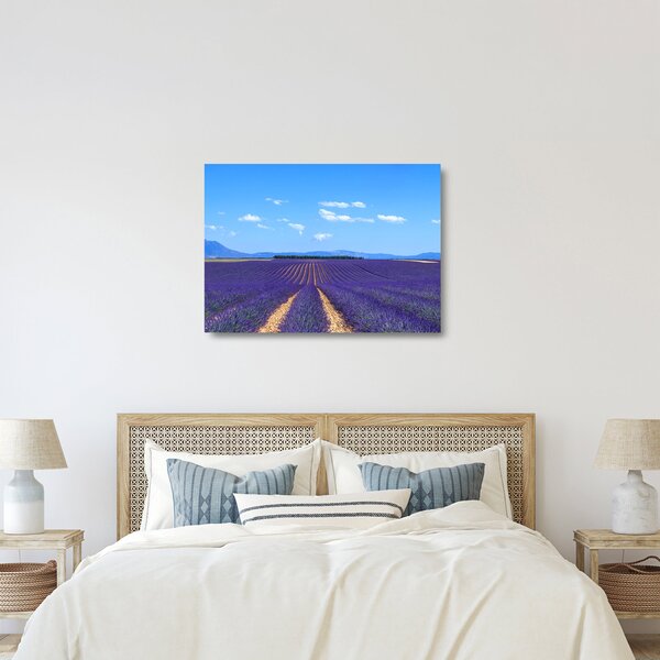 Skleněný obraz - Levandulové pole (70x50 cm)