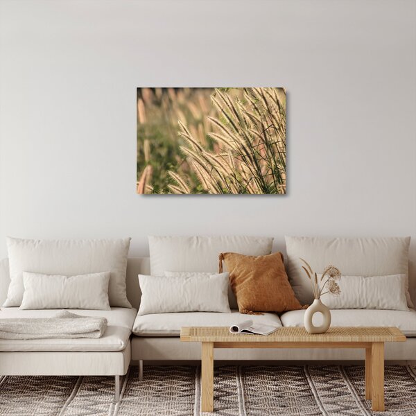 Skleněný obraz - Obilí (70x50 cm)