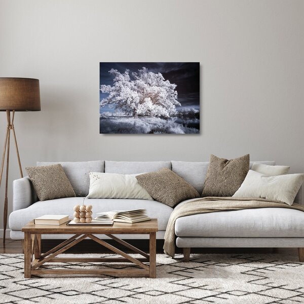 Skleněný obraz - Sněhobílý strom (70x50 cm)