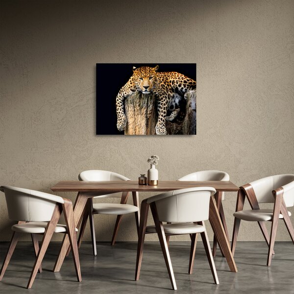 Skleněný obraz - Gepard (70x50 cm)