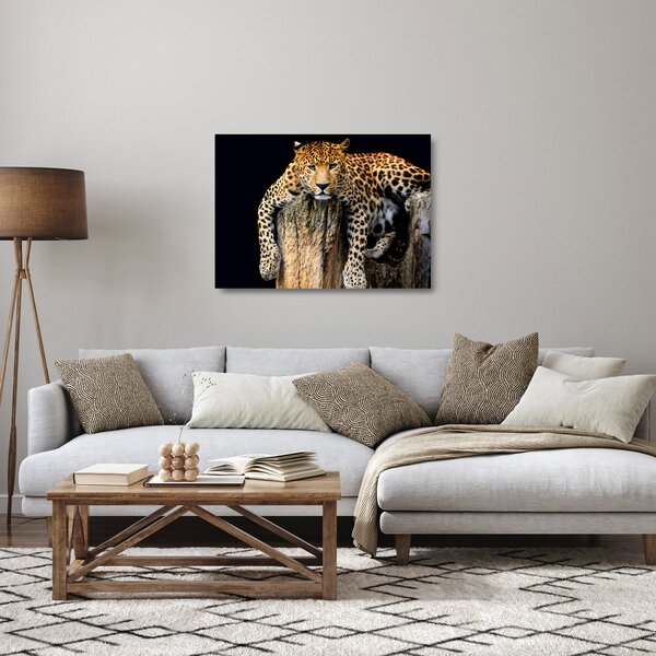 Skleněný obraz - Gepard (70x50 cm)