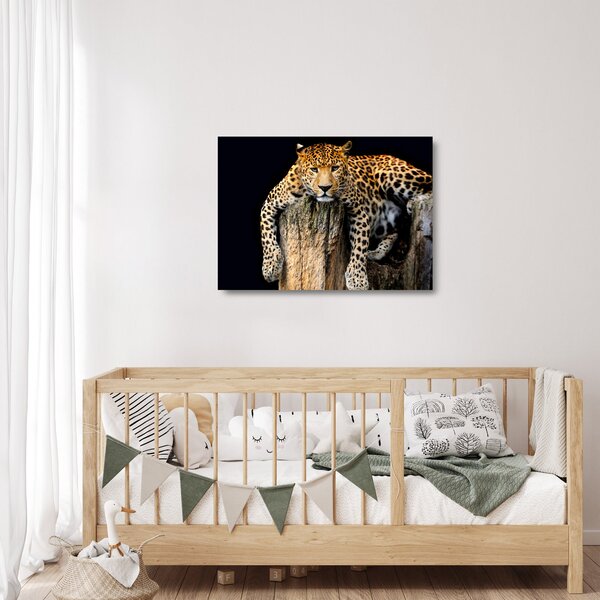 Skleněný obraz - Gepard (70x50 cm)