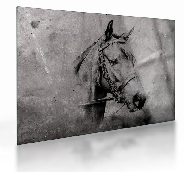 Skleněný obraz - Portrét koně (70x50 cm)