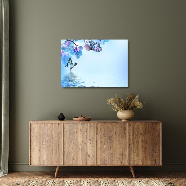 Skleněný obraz - Motýl na květech orchideje, modrý (70x50 cm)