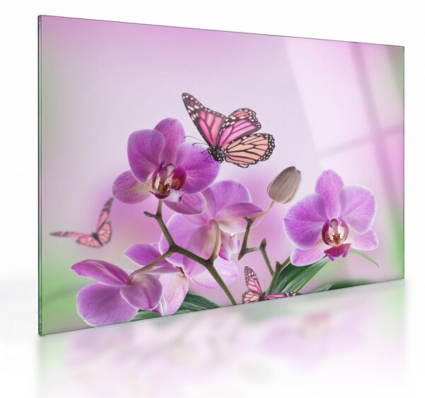 Skleněný obraz - Motýl na květech orchideje, lila (70x50 cm)