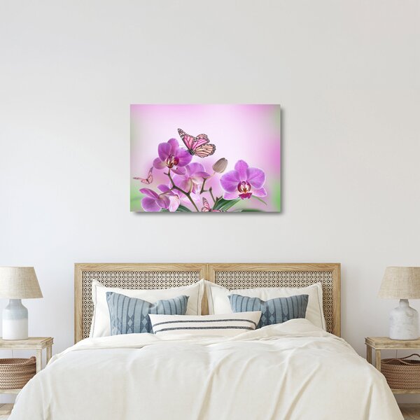 Skleněný obraz - Motýl na květech orchideje, lila (70x50 cm)